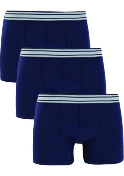 3'lü Boxer