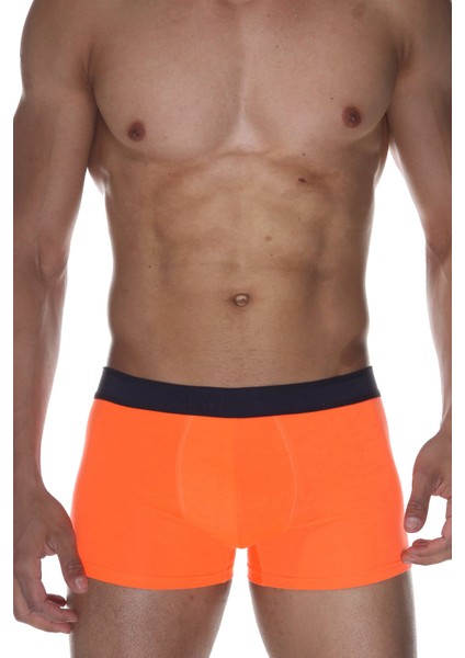 Boxer