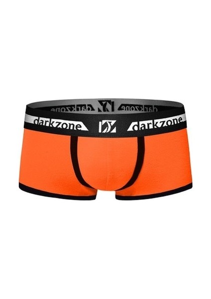 Turuncu Erkek Boxer