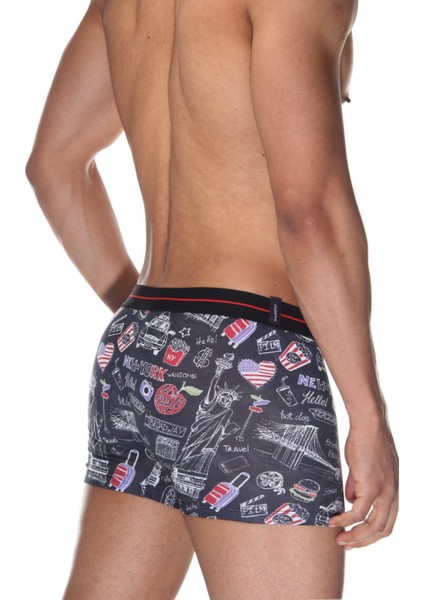 Boxer