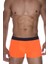 Boxer 1