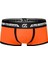 Turuncu Erkek Boxer 1