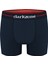 Boxer 1