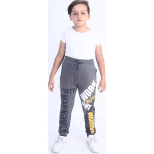 Erkek Çocuk Stronger Tnty Baskılı Eşofman Alt