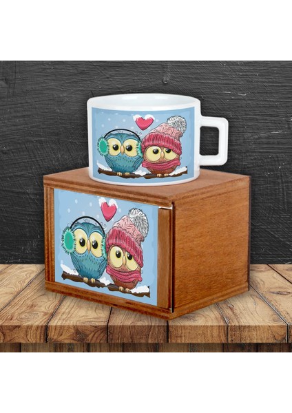 Aşık Baykuşlar Hediye Seti Baykuş Kutulu Kupa Baykuş Işıklı Biblo fiyatları