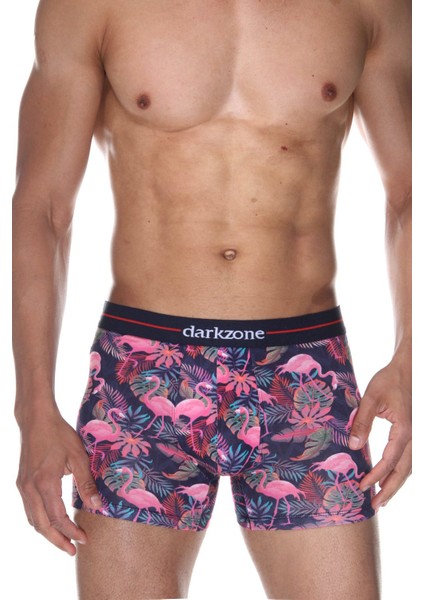 Erkek Çok Renkli Boxer