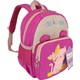  Renk Pembe