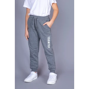 Erkek Çocuk Toontoy Baskılı Eşofman Alt