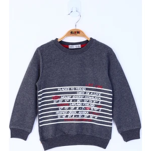 Erkek Çocuk Yazı Baskılı Sweatshirt
