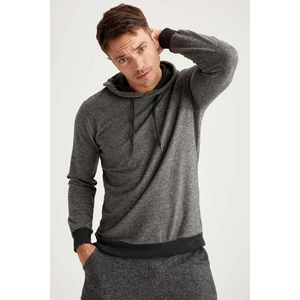 Desenli Regular Fit Kapüşonlu Sweatshirt S9053AZ20WN