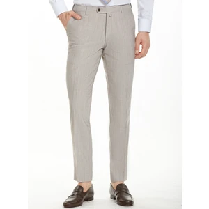 Platinium Bej Klasik Erkek Pantolon PPNK20Y20124_D07