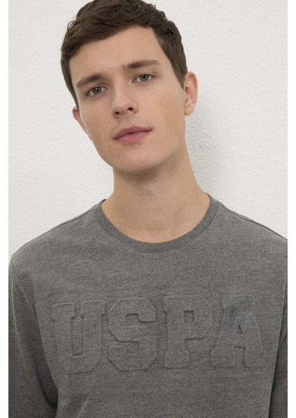 Erkek Antrasit Melanj Sweatshirt Basic 50225481-VR081