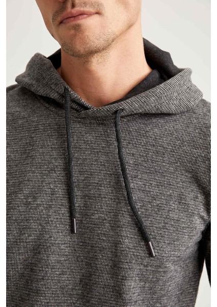 Desenli Regular Fit Kapüşonlu Sweatshirt S9053AZ20WN