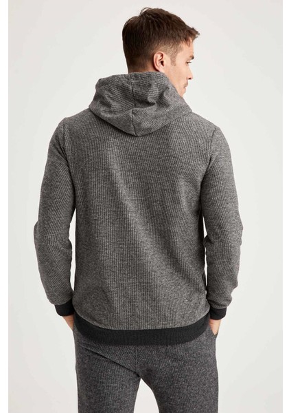 Desenli Regular Fit Kapüşonlu Sweatshirt S9053AZ20WN