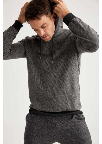 Desenli Regular Fit Kapüşonlu Sweatshirt S9053AZ20WN