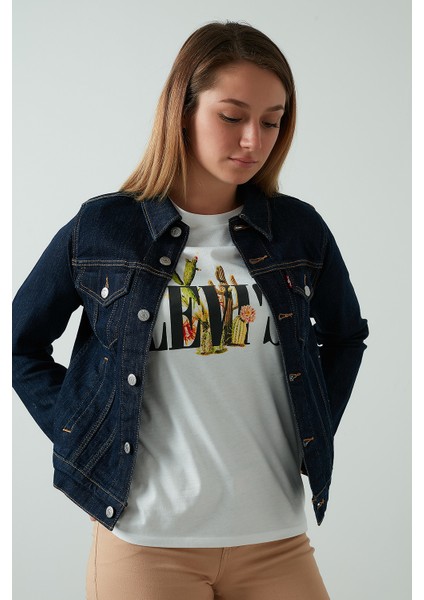 Erkek İndigo Ceket fiyatları