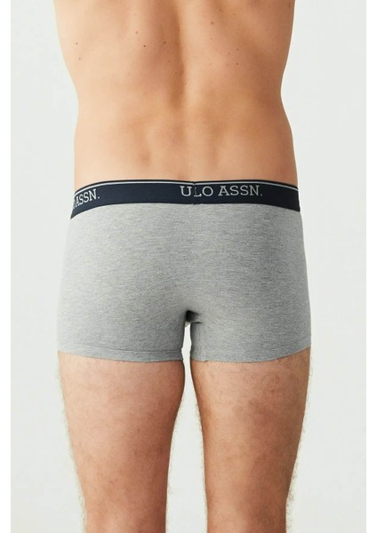 3'lü Boxer modelleri