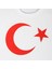 Türk Bayrak Ay Yıldız Baskılı Tişört 3