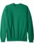 Ecosmart Sweatshirt 1