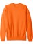 Ecosmart Sweatshirt 1