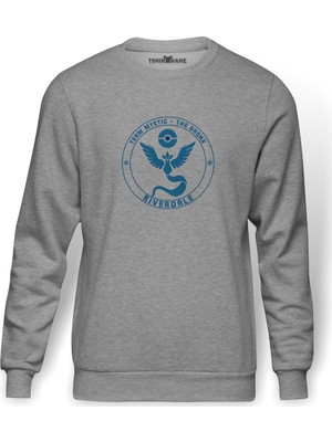 Tshirthane Riverdale Team Mystic Pokemon Go Baskılı Gri Melanj Erkek Örme Sweatshirt Uzun kol