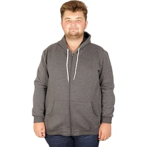 Erkek Sweatshirt Kapşonlu Zippered Basic 20543 Anramelanj