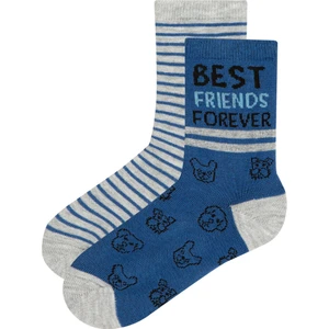 Çok Renkli Erkek Çocuk Çocuk Best Friends 2'li Soket Çorap