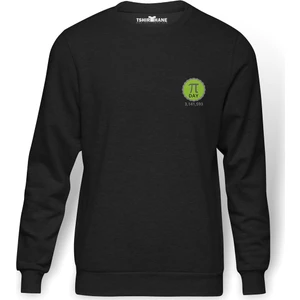 Pi Green Logo Baskılı Erkek Örme Sweatshirt Uzun Kol