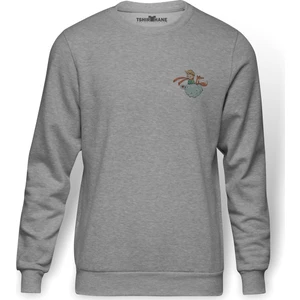 Küçük Prens Göğüs Baskı Çizgi Film Baskılı Gri Melanj Erkek Örme Sweatshirt Uzun kol
