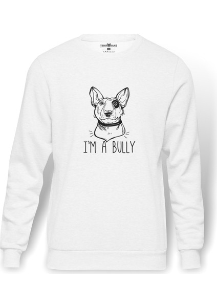 All You Need İs Love Baskılı Beyaz Erkek Örme Sweatshirt Uzun kol
