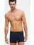 Erkek Domenico Boxer 1