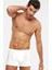Erkek Davide Boxer 1