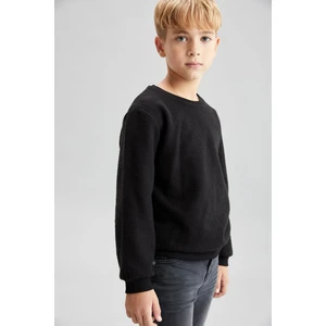 Erkek Çocuk Okula Dönüş Bisiklet Yaka Sweatshirt S0744A620AU