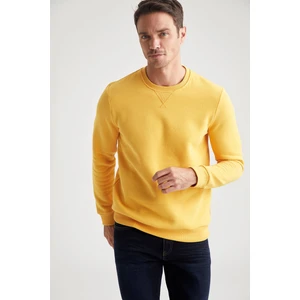 Regular Fit Bisiklet Yaka Basic Pamuklu Sweatshirt R6410AZ20AU