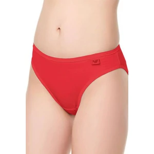 12 Adet Bayan Elastan Düz Bikini Külot