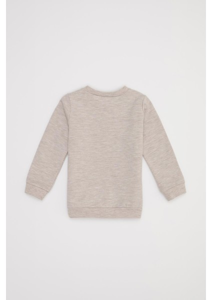 Kız Bebek Regular Fit Tekli Sweatshirt S1468A220WN