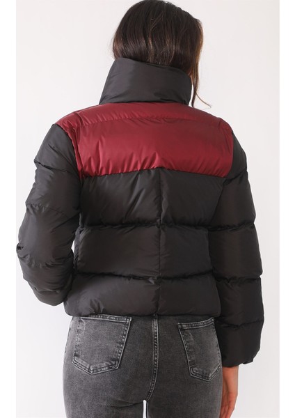 Z6649 Dewberry Bayan Mont-Siyah-Bordo modelleri