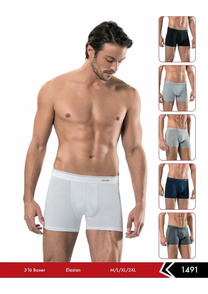 3'Lü Erdem 1491 Erkek Lycrali Boxer modelleri