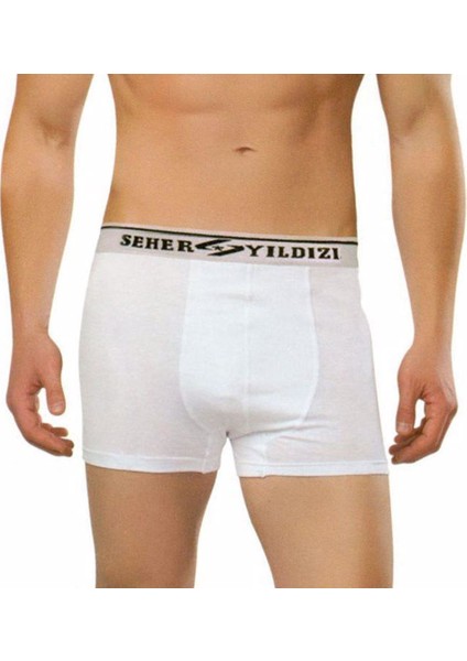 6 Adet Seher 060 Likralı Erkek Boxer Şort Paçalı Külot