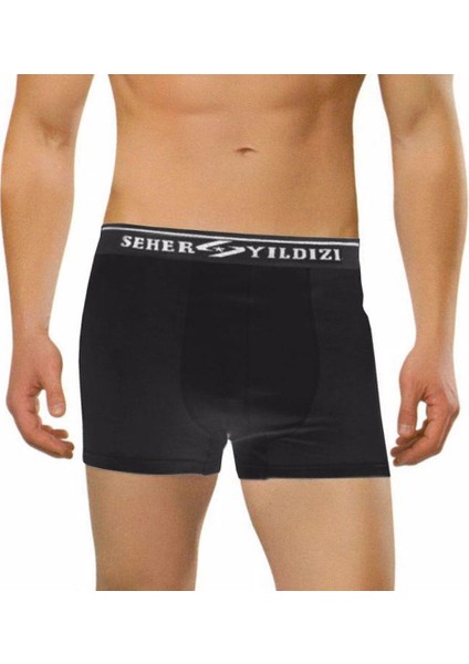 6 Adet Seher 060 Likralı Erkek Boxer Şort Paçalı Külot