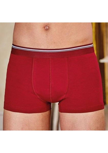 Berrak 1097 Erkek Likralı Esnek Boxer 3'Lü
