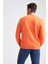 Regular Fit Bisiklet Yaka Basic Pamuklu Sweatshirt R6410AZ20AU 4