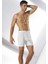 Namaldı 107 Erkek Arjantin Boxer 6 Adet 1