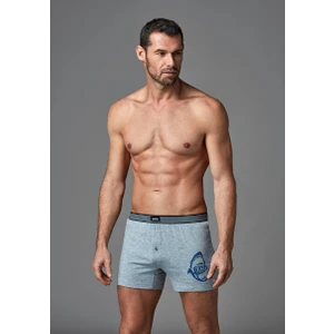 Erkek Boxer Gri Melanj E011000230