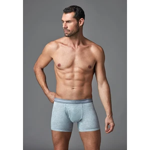 Erkek Boxer Gri Melanj E011000480