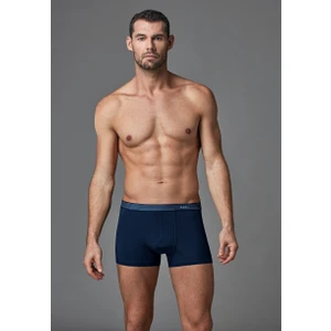 Erkek Boxer Lacivert E011000250