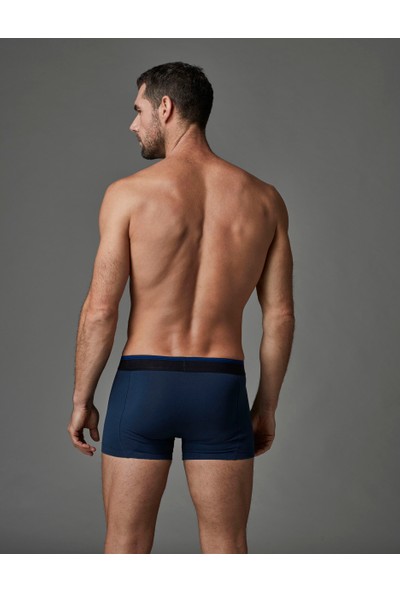 Dagi Erkek Boxer İndigo E011000300