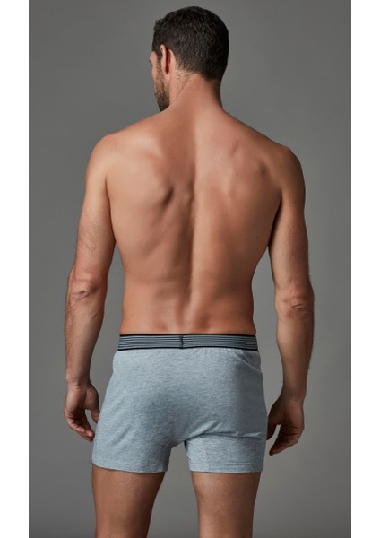 Erkek Boxer Gri Melanj E011000230