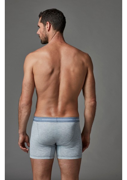 Erkek Boxer Gri Melanj E011000480