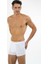 44BX10131 Colin Erkek 2'li Boxer 3